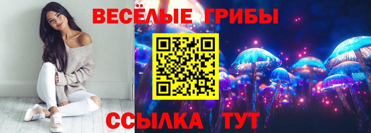 Прокопьевск  Псилоцибиновые грибы Psilocybe  Вход с VPN 